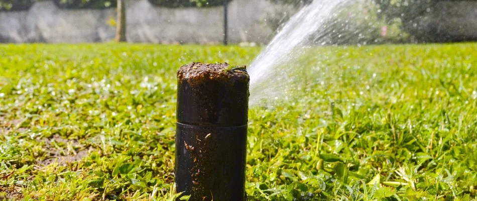 Clogged sprinkler head spraying water on a lawn in Frisco, TX.