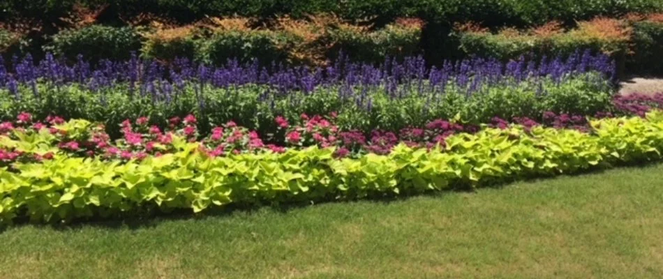 Commercial landscape bed next to main road in McKinney, TX.