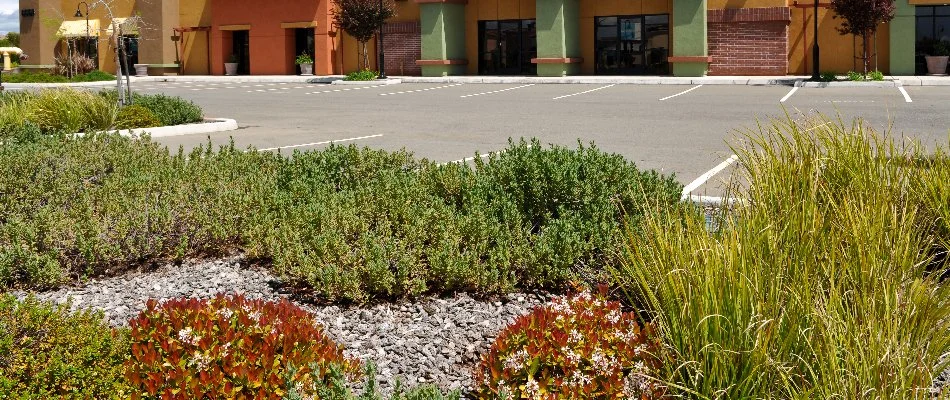 Shopping plaza with landscaping in Arlington, TX.