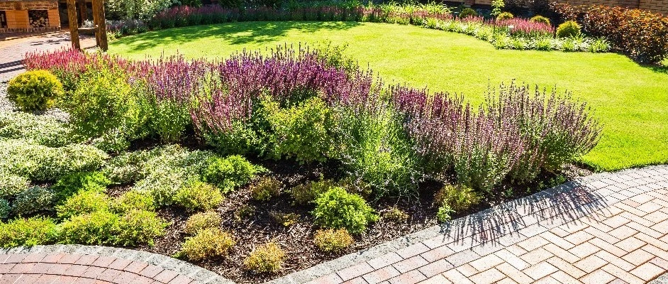 Front yard of a house in McKinney, TX, with beautiful landscaping.