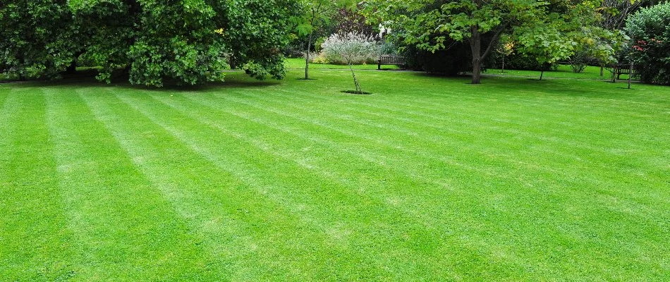 A property with mowed lawn in McKinney, TX.