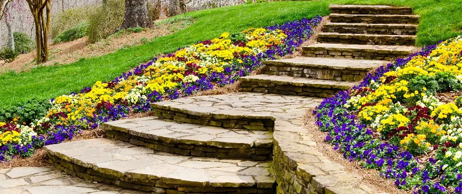 Outdoor steps with colorful flowers in McKinney, TX.