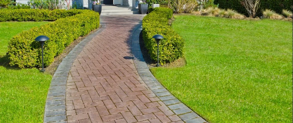 Paver walkway in McKinney, TX, lined with grass and shrubs.