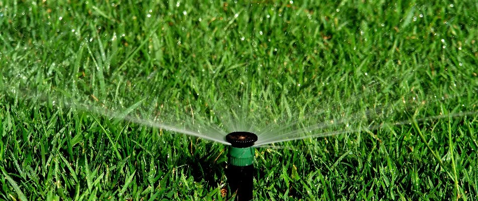 Sprinkler irrigation system in McKinney, TX, watering grass.