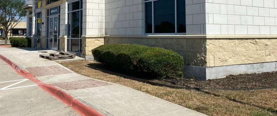 Commercial building with trimmed shrubs in Plano, TX.