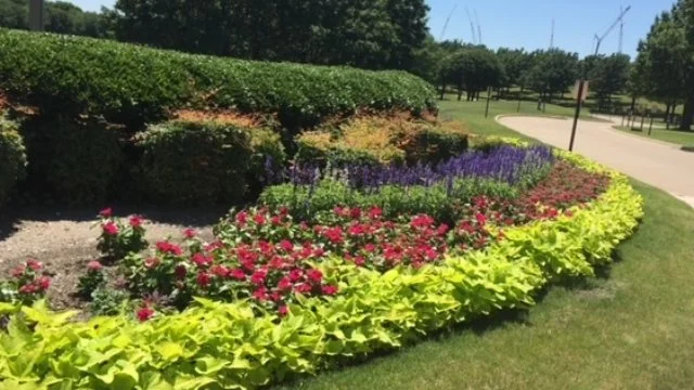 Colorful annual flowers and shrubs at a commercial property in Frisco, TX.