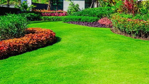 A vibrant green lawn adorned with a variety of colorful flowers and lush shrubs.